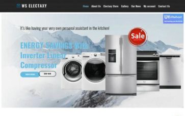 WS Electaxy (screenshot desktop)