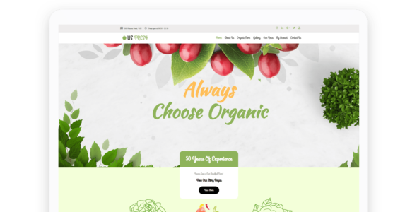 WS Fresh (L.THEME)