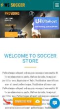 WS Soccer (screenshot mobile)