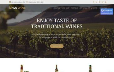 WS Wine (screenshot desktop)