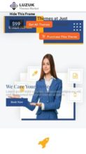 Mobile Repair Pro (screenshot mobile)