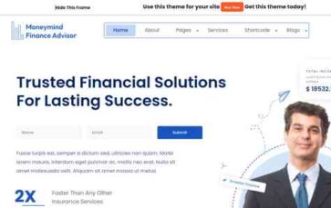 Moneymind Finance Advisor Pro (screenshot desktop)