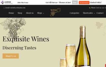 Wine Store Pro (screenshot desktop)