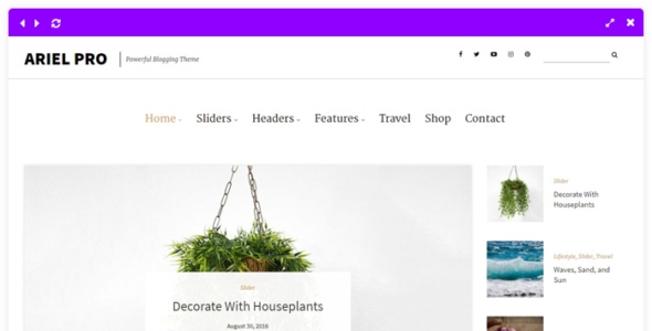Ariel Pro (LyraThemes)