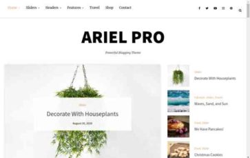 Ariel Pro (screenshot desktop)