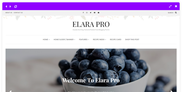 Elara Pro (LyraThemes)