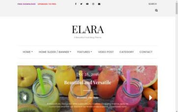 Elara (screenshot desktop)