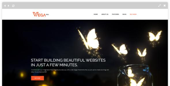 Vega Pro (LyraThemes)