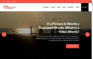 Vega Pro (screenshot desktop)