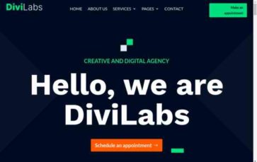 DiviLabs (screenshot desktop)