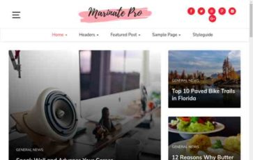 Marinate Pro (screenshot desktop)