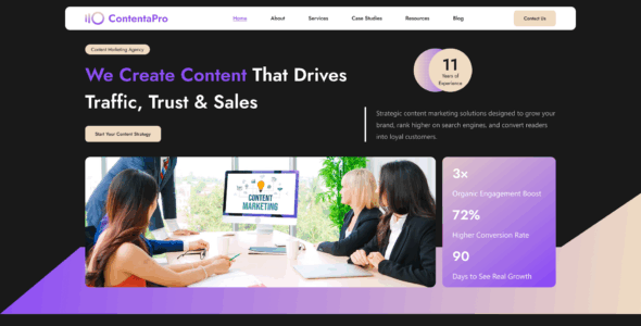 Content Marketing Agency Pro (MisbahWP)