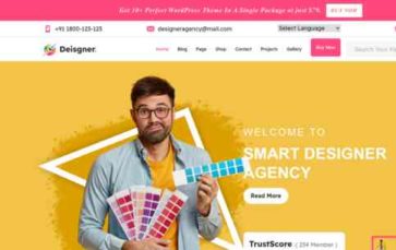 Designer Services Pro (screenshot desktop)