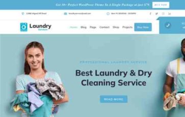 Laundry Dry Cleaning Pro (screenshot desktop)