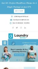 Laundry Dry Cleaning Pro (screenshot mobile)