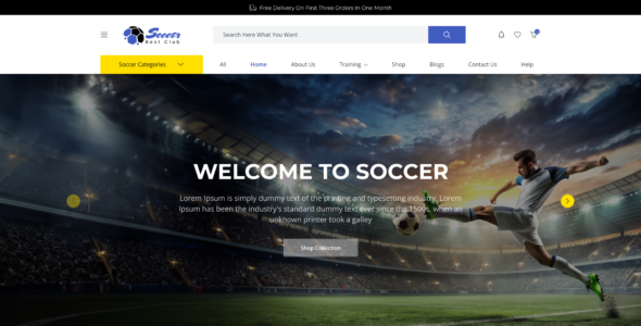 Soccer Sports Pro (MisbahWP)