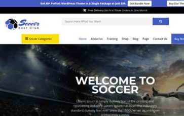 Soccer Sports Pro (screenshot desktop)