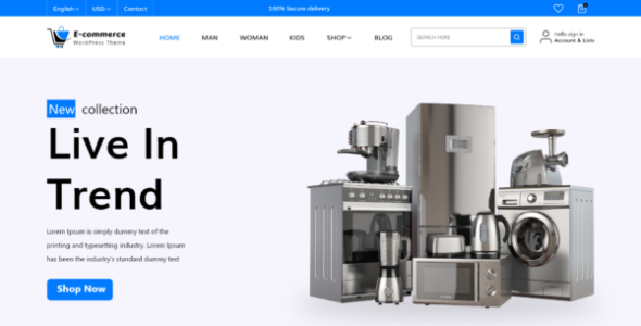 Ecommerce Store Elementor Pro (Mizan Themes)