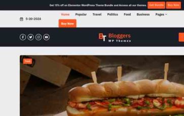 Unique Blogger Pro (screenshot desktop)