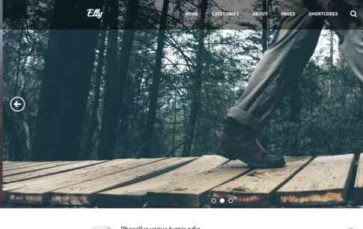Elly Blog (screenshot desktop)