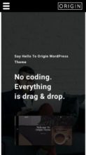 Origin (gbthemes) (screenshot mobile)