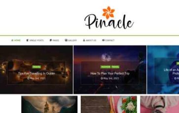 Pinacle (screenshot desktop)
