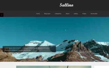 Sallino (screenshot desktop)