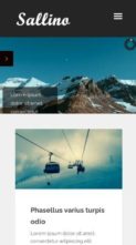Sallino (screenshot mobile)