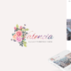 Valencia (MOJO Marketplace)