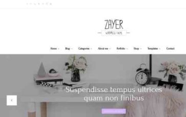 Zayer (screenshot desktop)