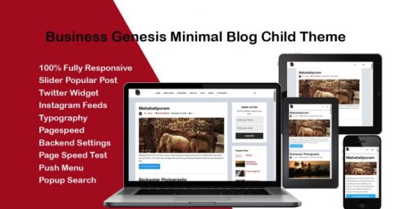 Business Blog (Mount Moriah Infotechs)