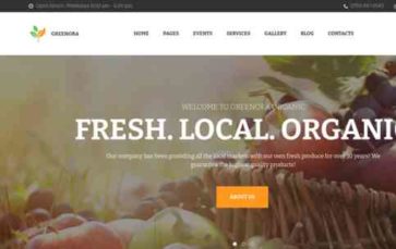 Greenora (screenshot desktop)