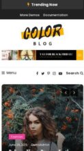 Color Blog (screenshot mobile)