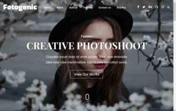 Fotogenic (screenshot desktop)
