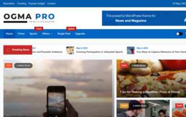 Ogma Pro (screenshot desktop)