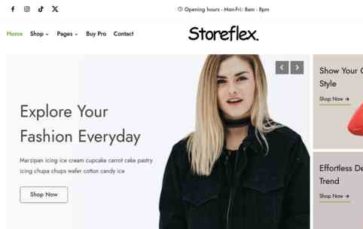 Storeflex (screenshot desktop)