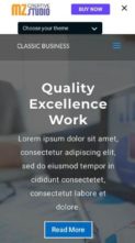 Classic Business (MZ Creative Studio) - (screenshot mobile)