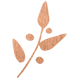 Author Icon