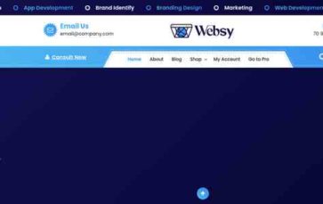 Websy (screenshot desktop)