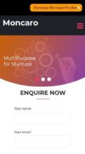 Netnus App Pro (screenshot mobile)