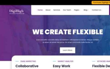 Netnus DigiHigh Pro (screenshot desktop)