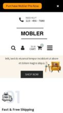 Netnus Mobler Pro (screenshot mobile)