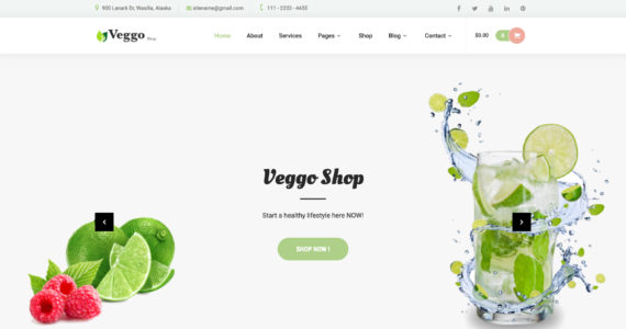 Veggo Shop Pro (Netnus)