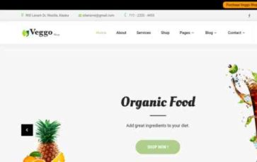 Veggo Shop Pro (screenshot desktop)