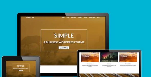 Simple Pro (Nimbus Themes)