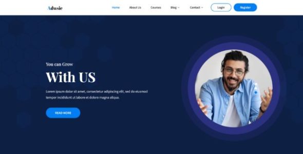 Adwise Pro (Nordic WP Theme)