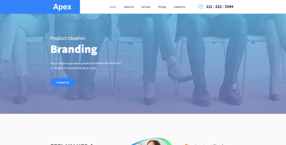 Apex Pro (Nordic WP Theme)