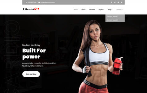 Fitness24 Pro (Nordic WP Theme)