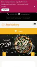 NWP Food Delivery Pro (screenshot mobile)