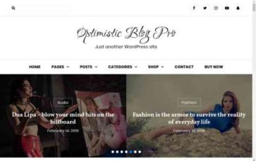 Optimistic Blog Pro (screenshot desktop)